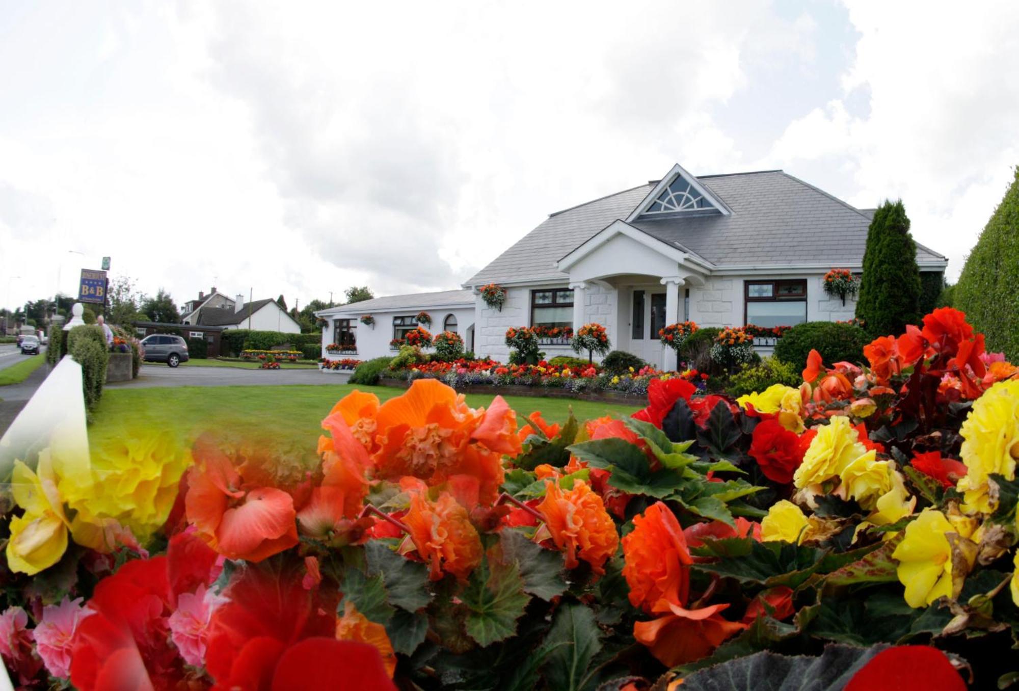 Rosemount B&B Dundalk Exteriör bild