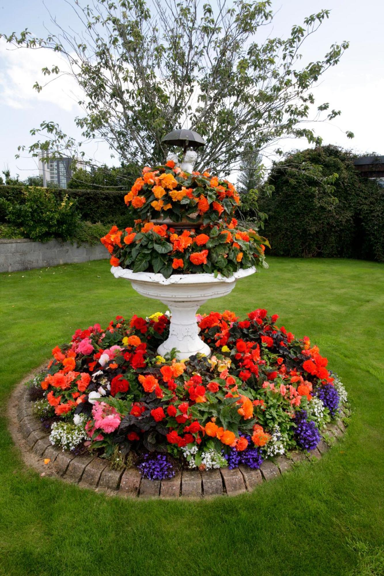 Rosemount B&B Dundalk Exteriör bild